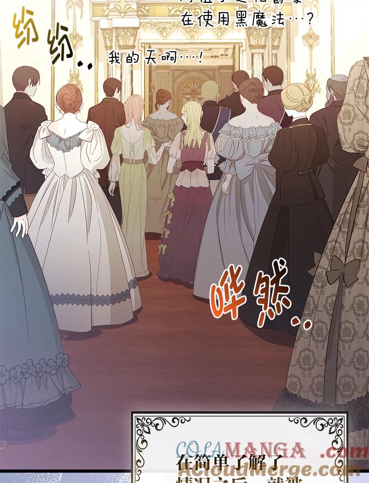 《大公家的狐狸皇女》17.真相 第25页