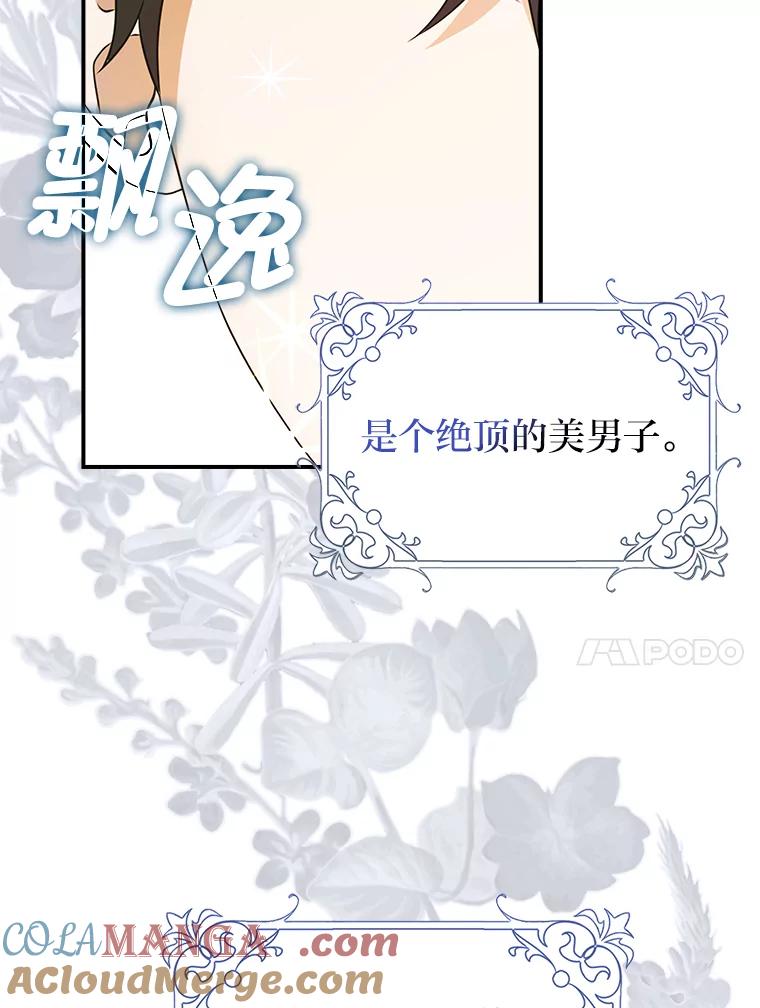 《消失的灰姑娘》16.跛脚的皇太子 第17页