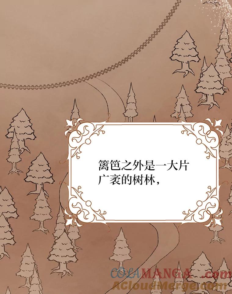 《消失的灰姑娘》16.跛脚的皇太子 第33页