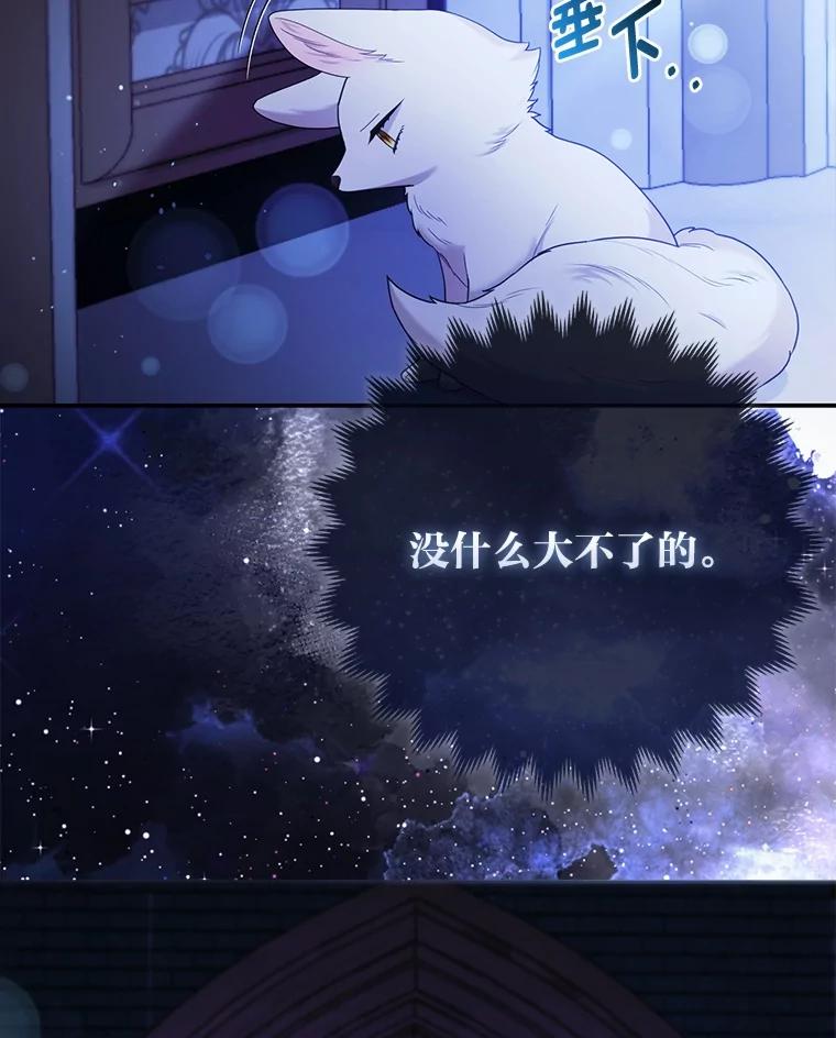 《大公家的狐狸皇女》17.真相 第96页