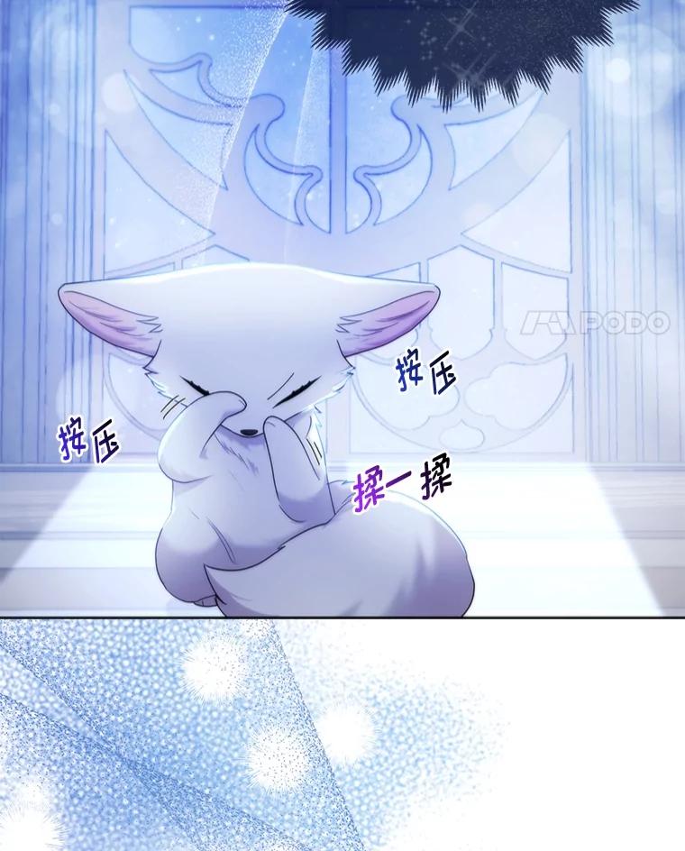 《大公家的狐狸皇女》17.真相 第98页