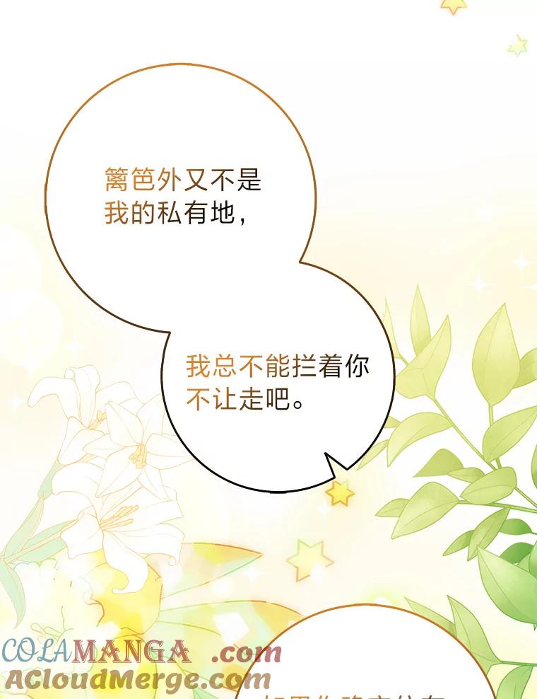 《消失的灰姑娘》16.跛脚的皇太子 第69页