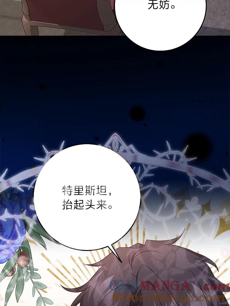《消失的灰姑娘》16.跛脚的皇太子 第109页