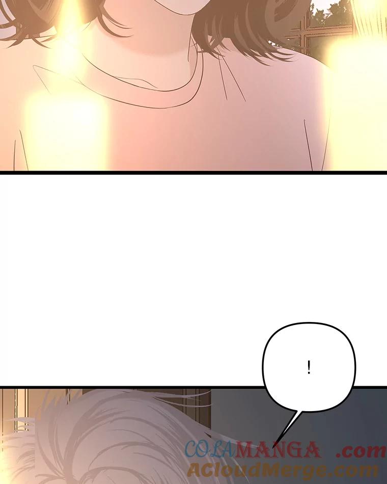 《替吸血鬼吃饭的我》187.重新代吃 第28页