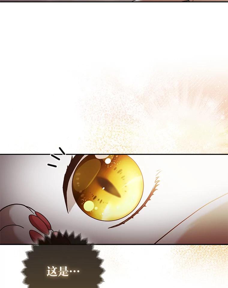 《大公家的狐狸皇女》18.小情侣闹别扭 第38页