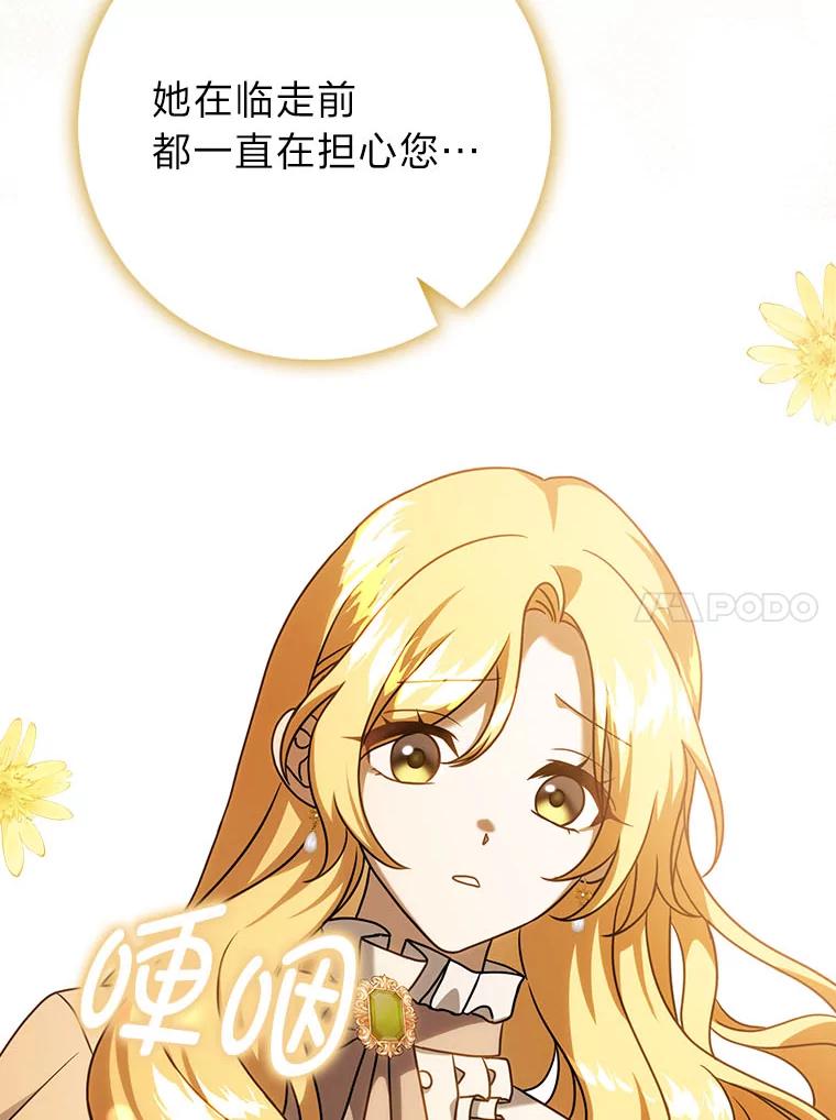《消失的灰姑娘》17.幼时玩伴 第66页