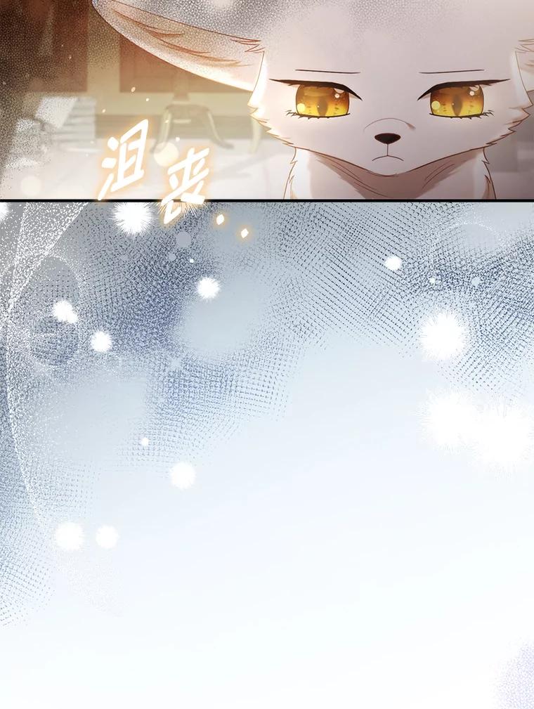 《大公家的狐狸皇女》18.小情侣闹别扭 第75页