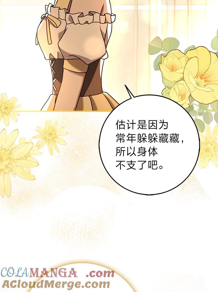 《消失的灰姑娘》17.幼时玩伴 第65页