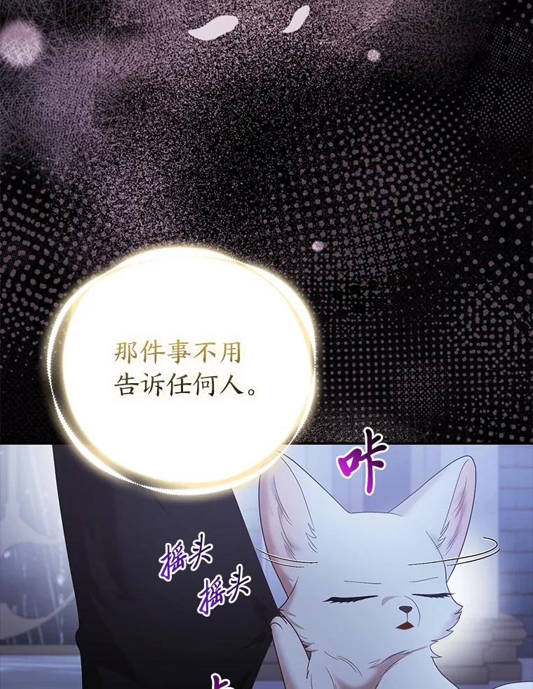 《大公家的狐狸皇女》19.另有隐情 第71页