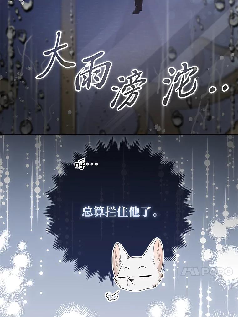 《大公家的狐狸皇女》19.另有隐情 第84页