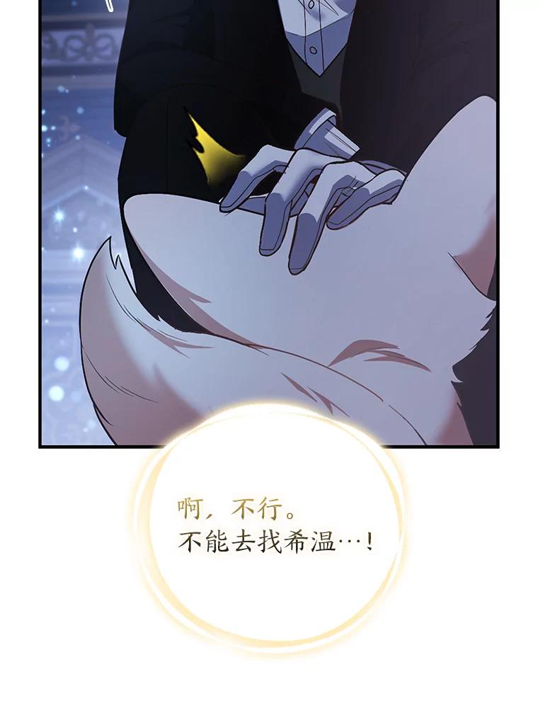 《大公家的狐狸皇女》19.另有隐情 第74页