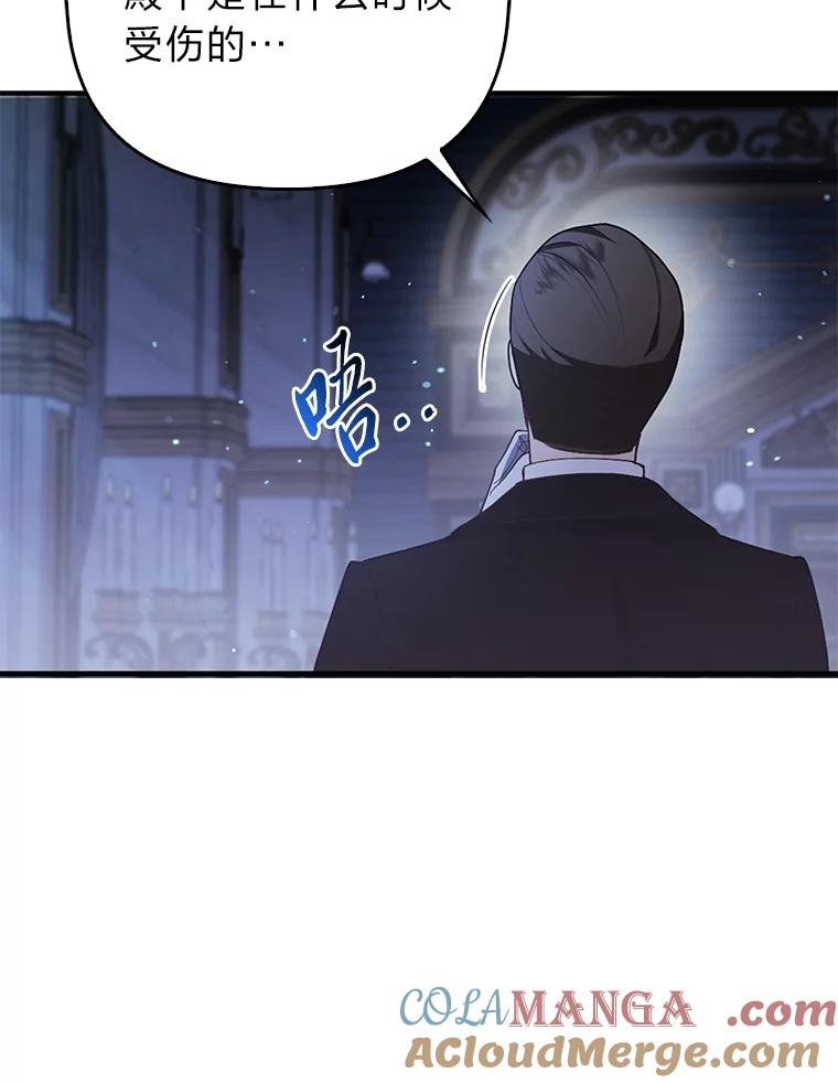《大公家的狐狸皇女》19.另有隐情 第64页