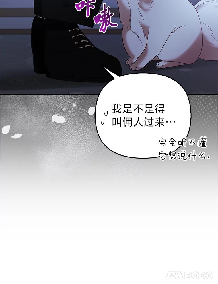 《大公家的狐狸皇女》19.另有隐情 第72页