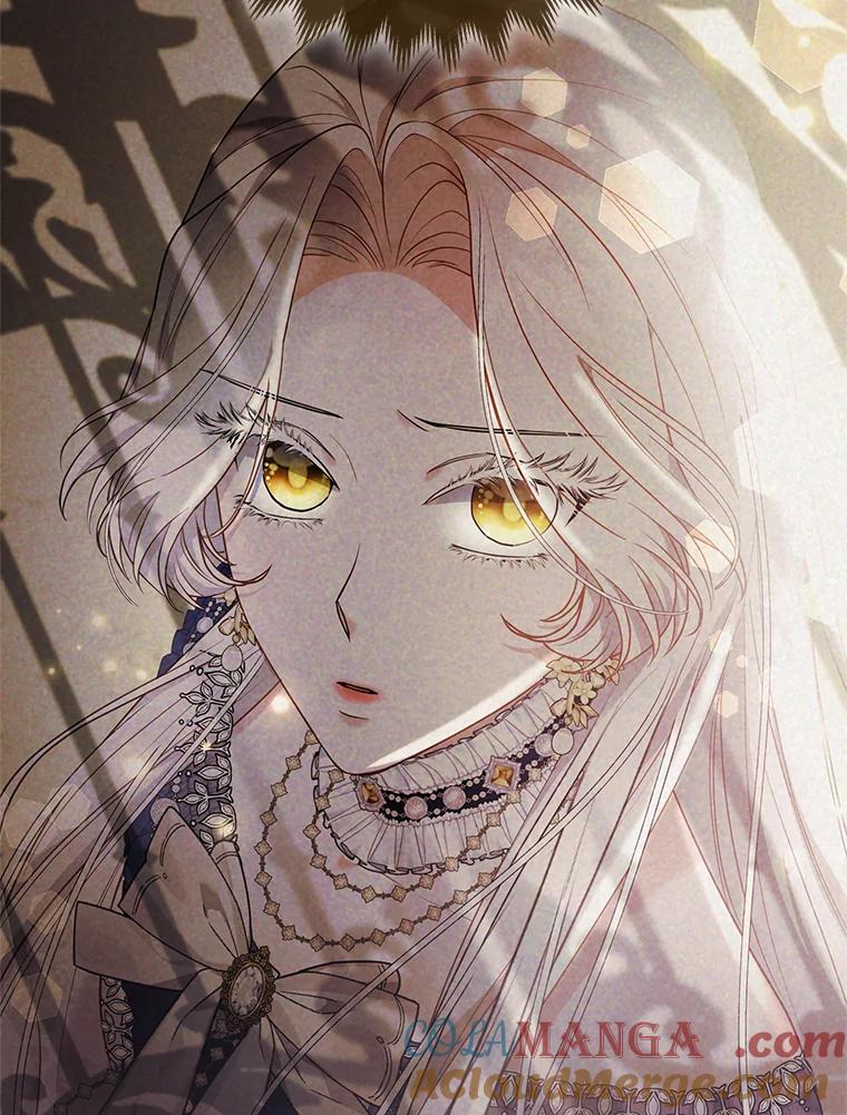 《大公家的狐狸皇女》19.另有隐情 第43页