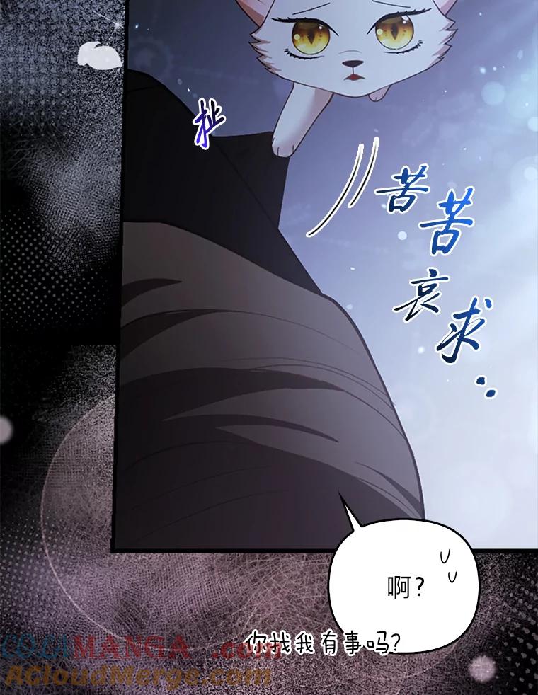 《大公家的狐狸皇女》19.另有隐情 第70页