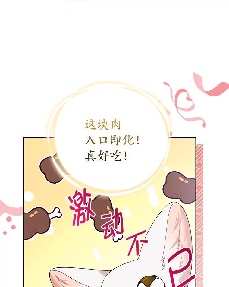 《大公家的狐狸皇女》20.洛温的建议 第48页