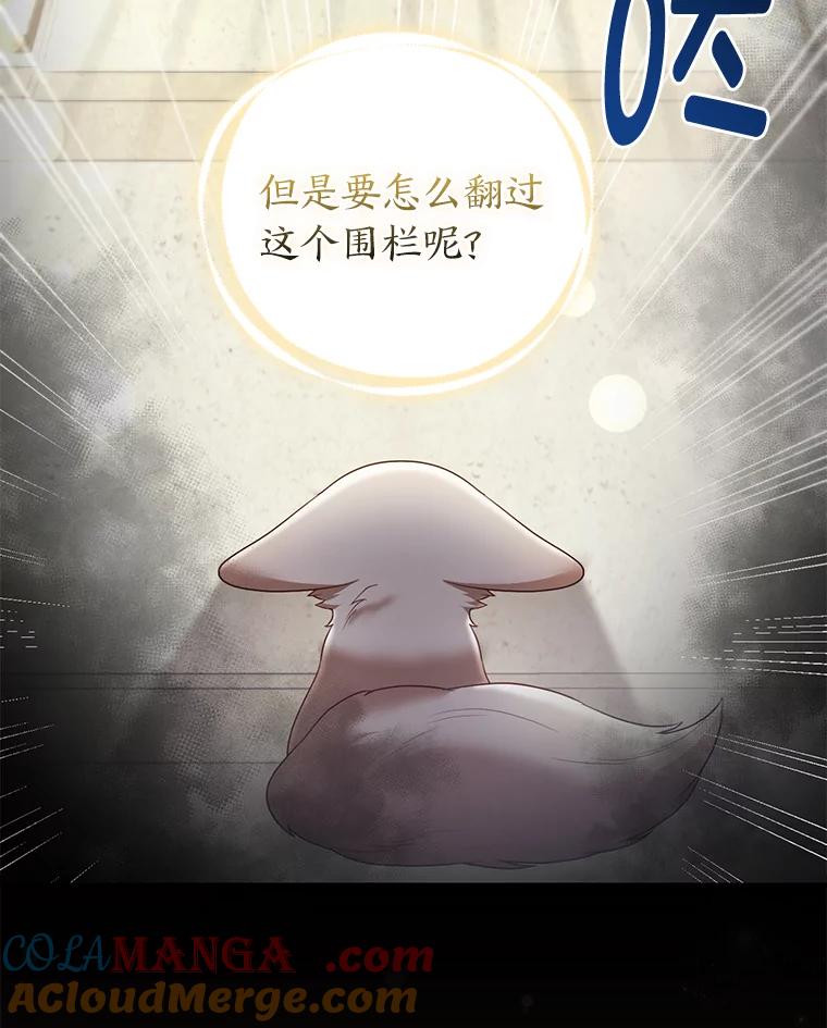 《大公家的狐狸皇女》20.洛温的建议 第67页