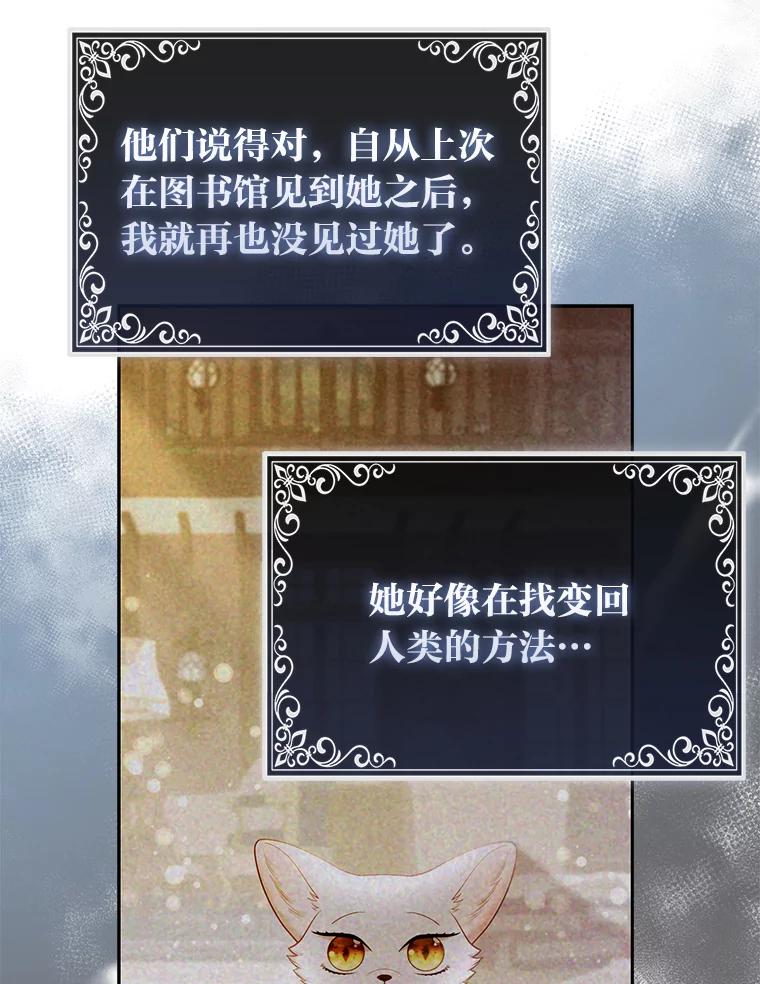 《大公家的狐狸皇女》20.洛温的建议 第6页