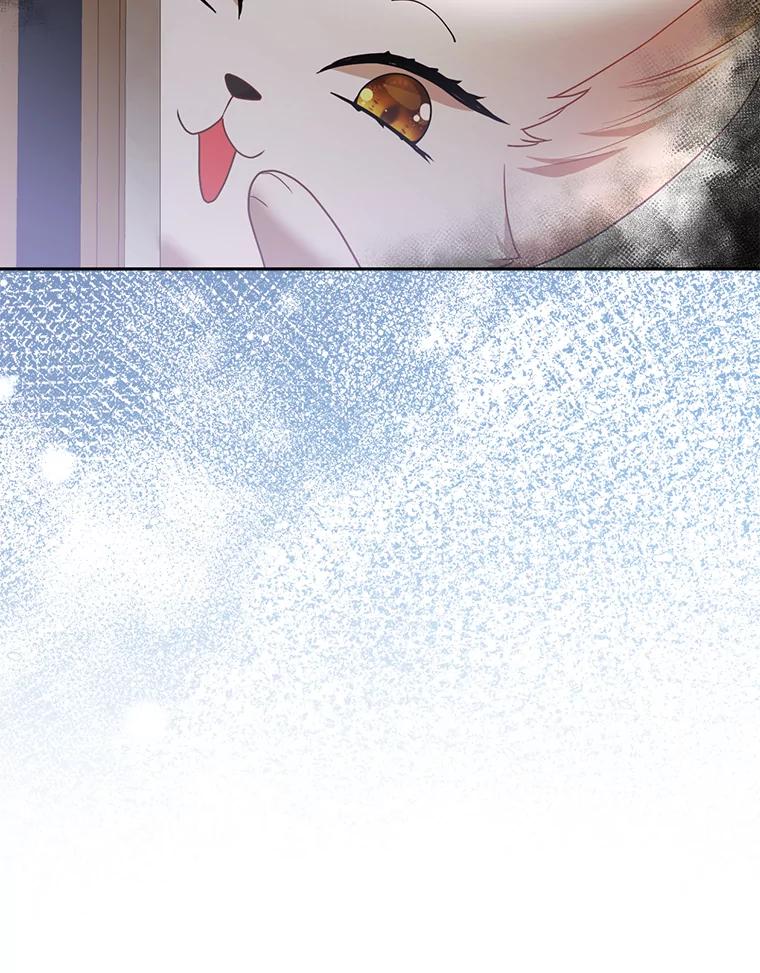 《大公家的狐狸皇女》20.洛温的建议 第63页