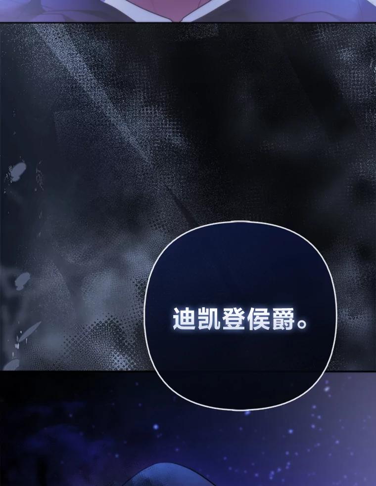 《大公家的狐狸皇女》20.洛温的建议 第84页