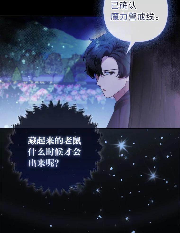 《大公家的狐狸皇女》20.洛温的建议 第74页