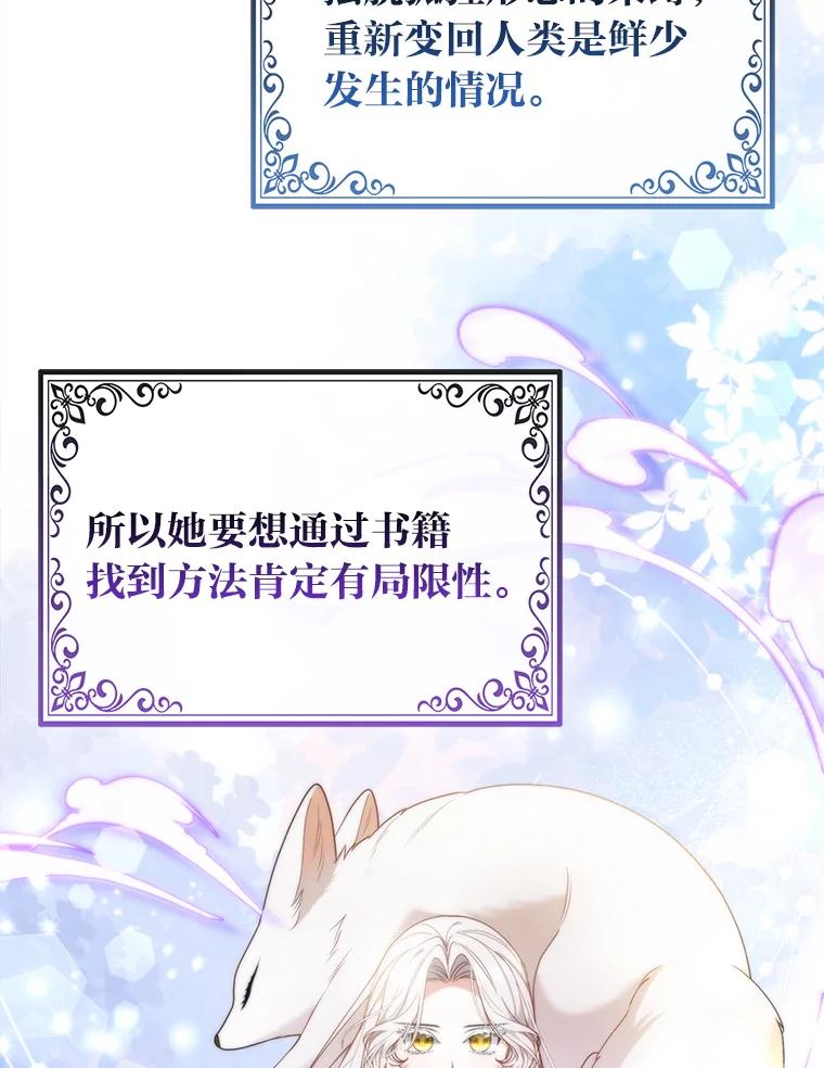 《大公家的狐狸皇女》20.洛温的建议 第8页