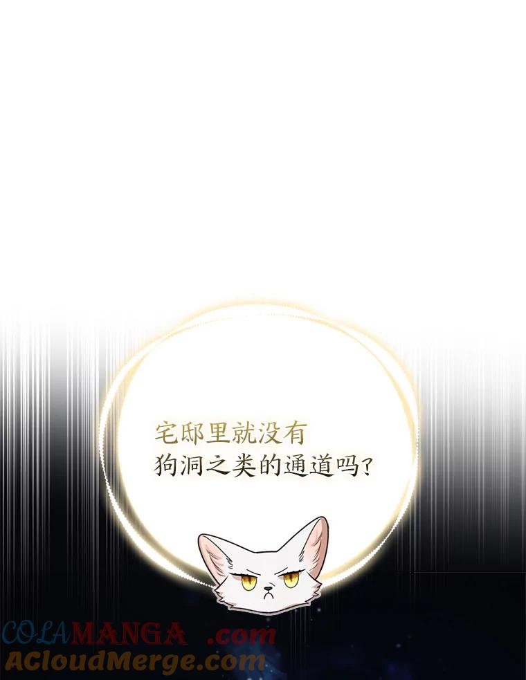 《大公家的狐狸皇女》20.洛温的建议 第70页