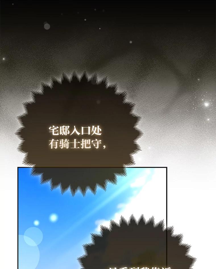 《大公家的狐狸皇女》20.洛温的建议 第68页