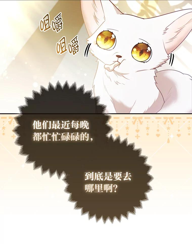《大公家的狐狸皇女》20.洛温的建议 第60页