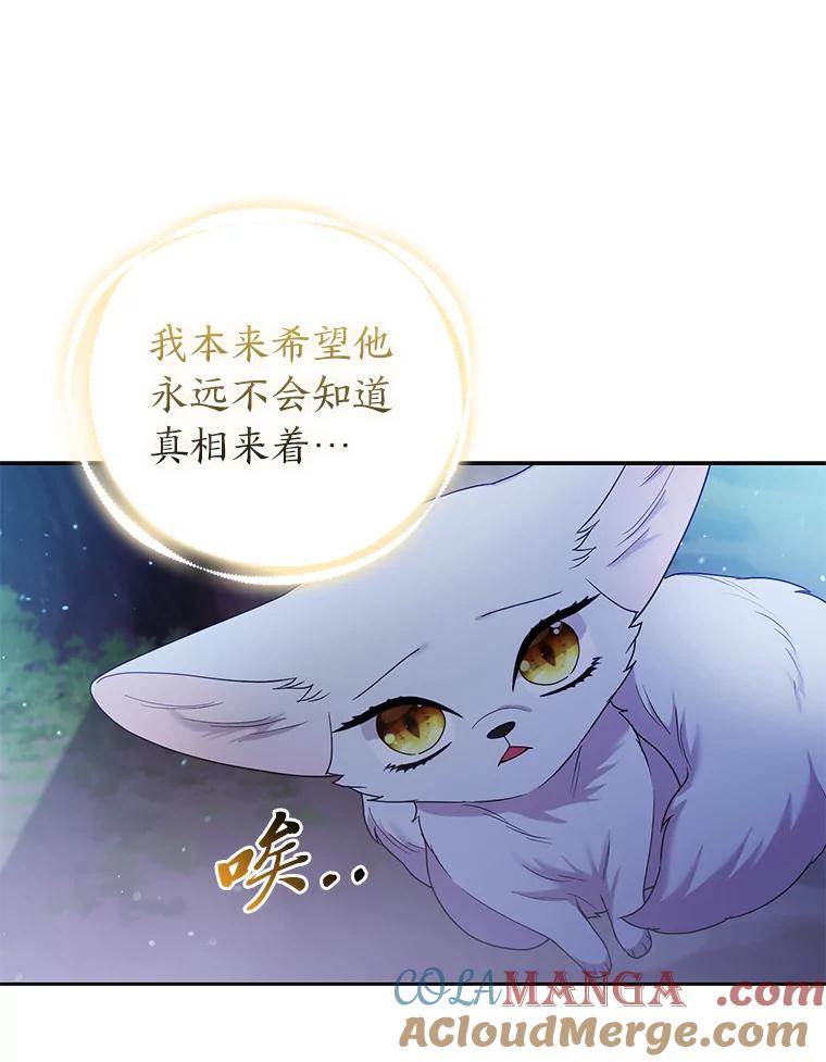 《大公家的狐狸皇女》21.皇女的假面背后 第46页