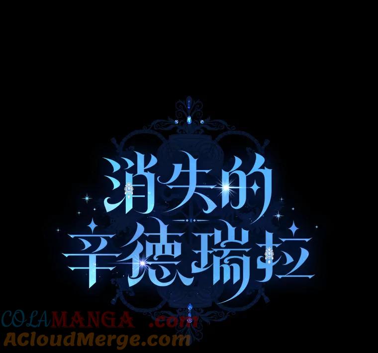 《消失的灰姑娘》20.雨夜遇袭 第29页