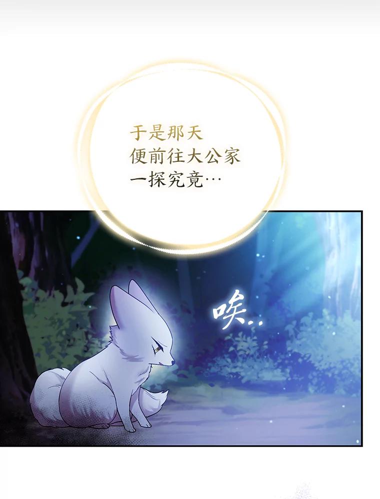 《大公家的狐狸皇女》21.皇女的假面背后 第62页