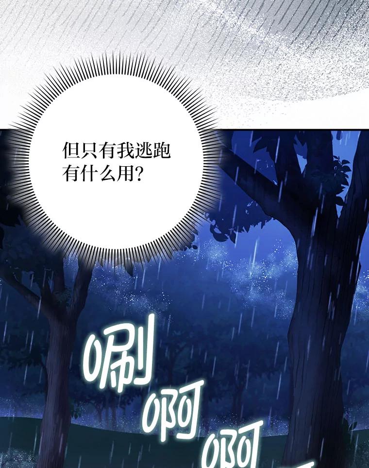 《消失的灰姑娘》20.雨夜遇袭 第87页