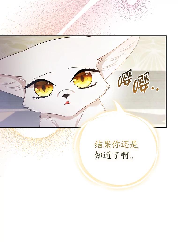 《大公家的狐狸皇女》22.解开误会 第39页