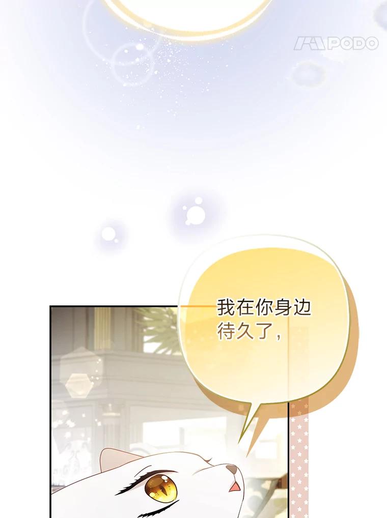 《大公家的狐狸皇女》22.解开误会 第67页