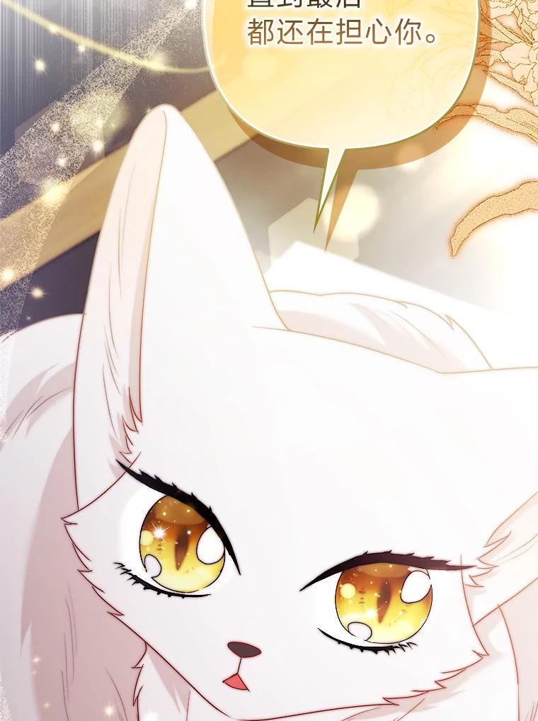《大公家的狐狸皇女》22.解开误会 第62页
