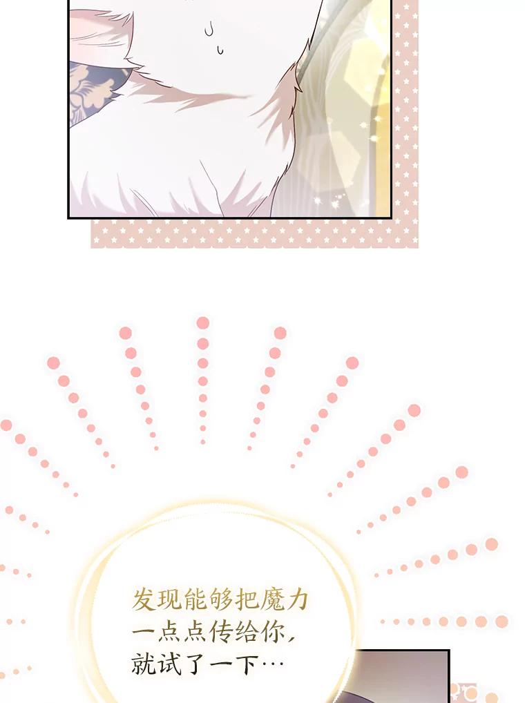 《大公家的狐狸皇女》22.解开误会 第68页