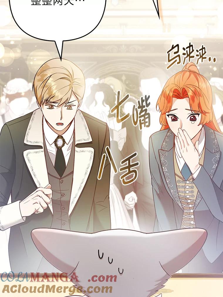 《大公家的狐狸皇女》22.解开误会 第93页