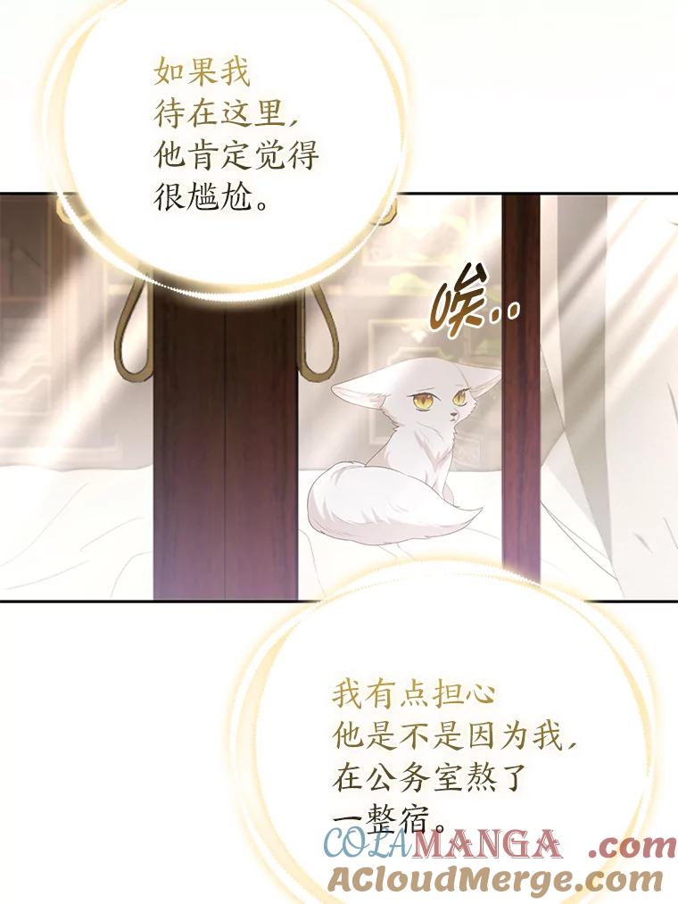 《大公家的狐狸皇女》22.解开误会 第85页