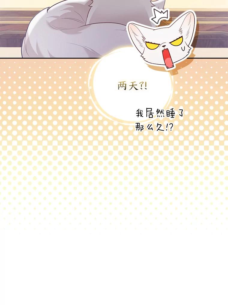 《大公家的狐狸皇女》22.解开误会 第94页