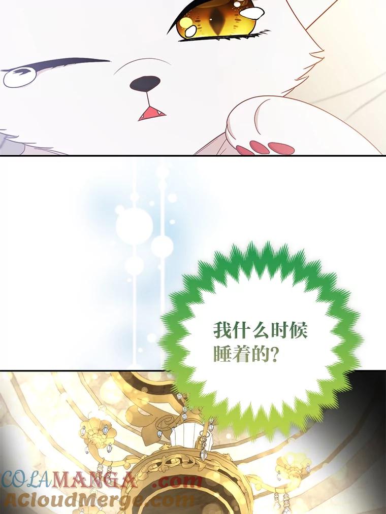 《大公家的狐狸皇女》22.解开误会 第81页