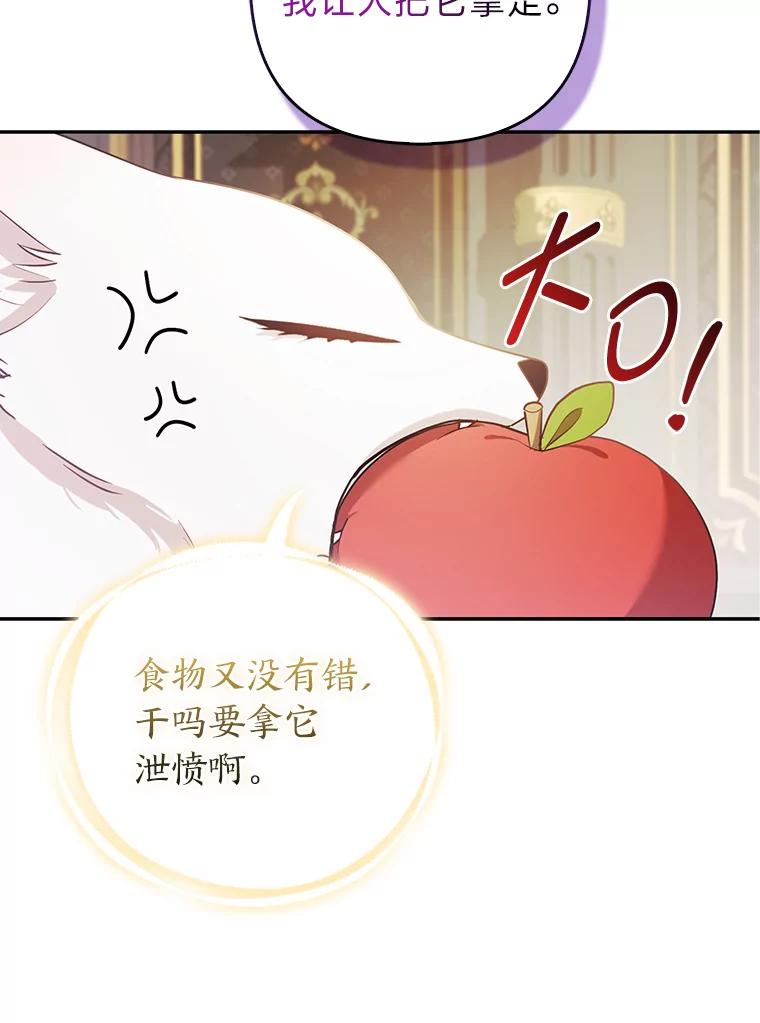 《大公家的狐狸皇女》22.解开误会 第32页