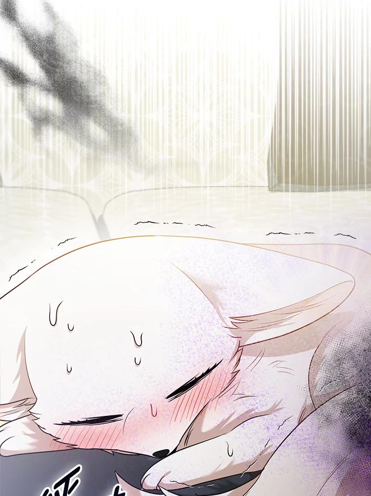 《大公家的狐狸皇女》22.解开误会 第72页