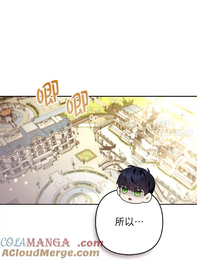 《大公家的狐狸皇女》22.解开误会 第25页