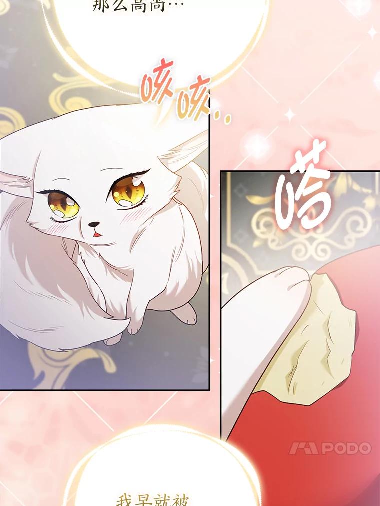 《大公家的狐狸皇女》22.解开误会 第47页