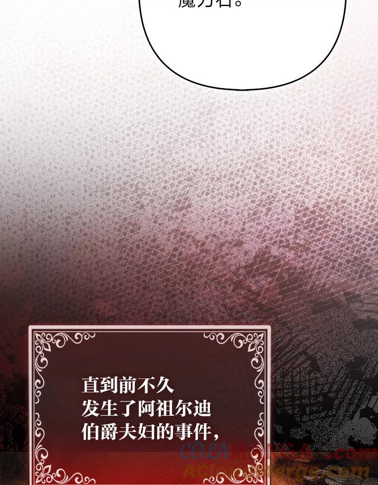 《大公家的狐狸皇女》22.解开误会 第9页