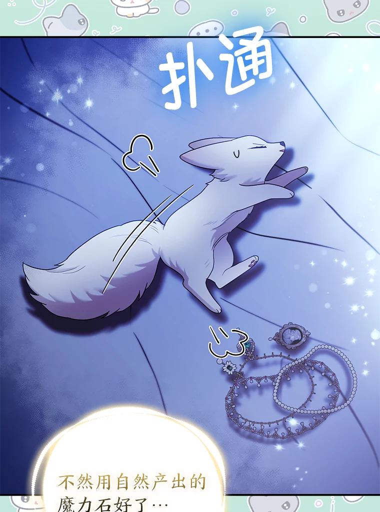 《大公家的狐狸皇女》23.助眠作战 第22页