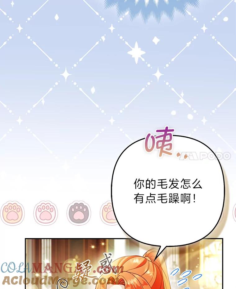 《大公家的狐狸皇女》23.助眠作战 第41页