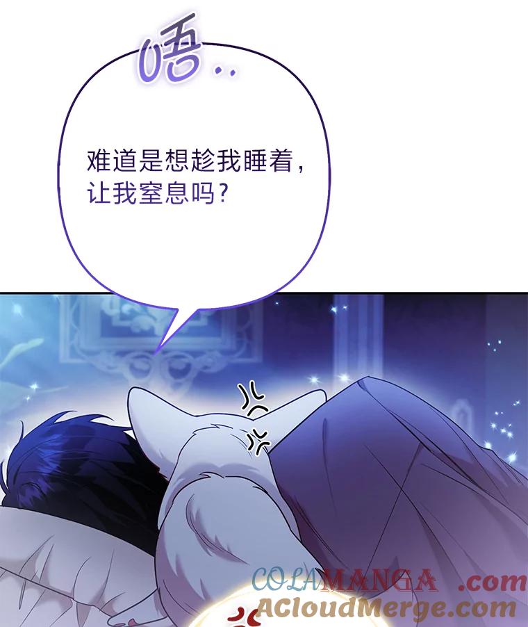 《大公家的狐狸皇女》23.助眠作战 第77页
