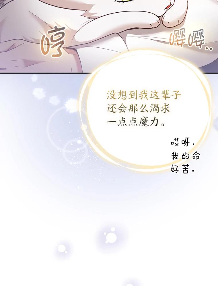 《大公家的狐狸皇女》23.助眠作战 第6页